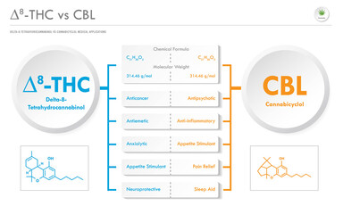 ∆8-THC vs CBL, Delta 8 Tetrahydrocannabinol vs Cannabicyclol horizontal business infographic