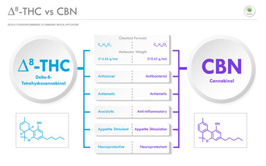 ∆8-THC vs CBN, Delta 8 Tetrahydrocannabinol vs Cannabinol horizontal business infographic
