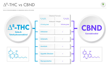 ∆8-THC vs CBND, Delta 8 Tetrahydrocannabinol vs Cannabinodiol horizontal business infographic