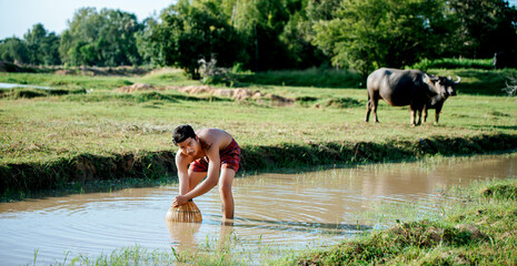 Asian young man in loinclothes and bamboo fishing trap