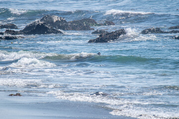 wave breaking on the beach