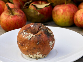 fauler Apfel