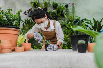 Young gardener woman wearing face mask transplants cactus