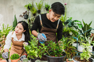 Asian young gardener couple with green houseplant small business