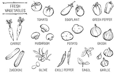 野菜　イラストセット　線画　手描き