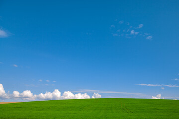 Fototapeta premium Green grass field on hills and blue sky with clouds