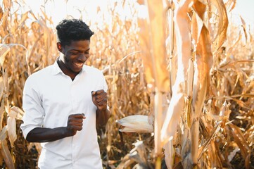 African Farmer stand in the corn plantation field