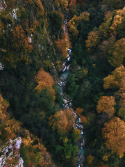 waterfall in autumn