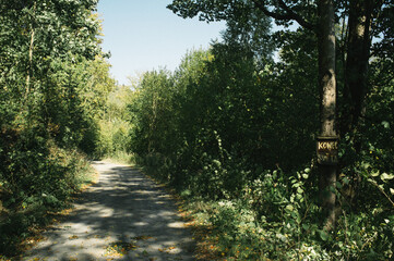 Exploring roads less ridden, little adventures around hometown