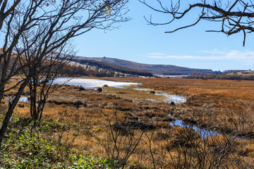 八島ヶ原湿原　霧ヶ峰　諏訪　長野県