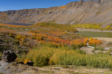 The road runs along the bottom of an old volcano crater overgrown with trees