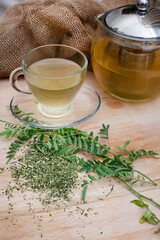 Cancer bush tea, traditional herbal medicine made from Sutherlandia plant. loose leaf tea and leaves on wood with freshly made teai in glass cup and teapot