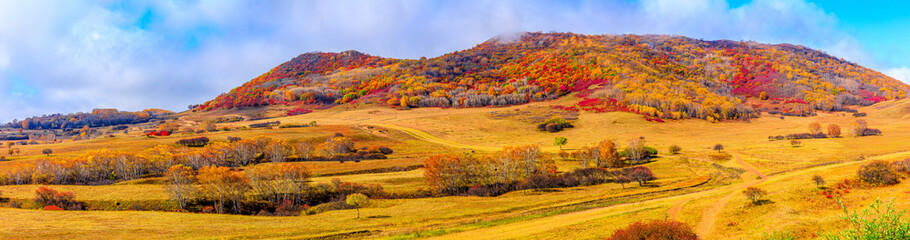 Colorful forest and mountain natural landscape in autumn.Beautiful autumn scenery in the Ulan Butong grassland,Inner Mongolia,China.