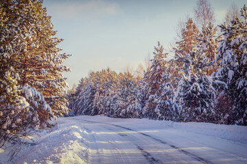 Picturesque winter landscape with pine forest and country road covered with fresh white snow in sunny frosty day after snowfall. Amazing winter nature, beautiful natural background, vintage tone