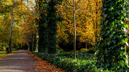 A walk in the park in autumn season / Szczytnicki park - Wroclaw