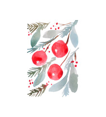 winters  berry and spruce branch vector background