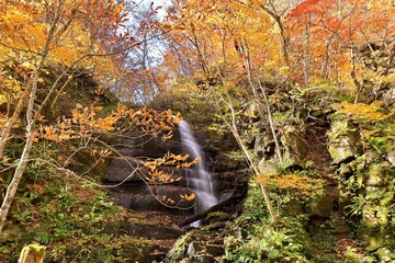奥入瀬渓流の紅葉