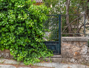 abandoned house entrance metallic door semi covered by green ivy foliage