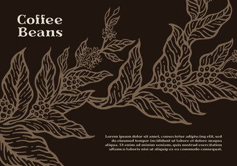 Fototapeta na wymiar Coffee tree branch template with natural coffee leaves and beans. Botanical illustration.