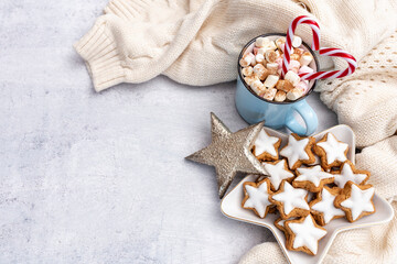 Fototapeta na wymiar Gingerbread with mug of hot chocolate and christmas candy cane.