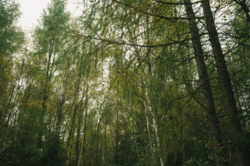 Exploring roads less ridden, little adventures around hometown