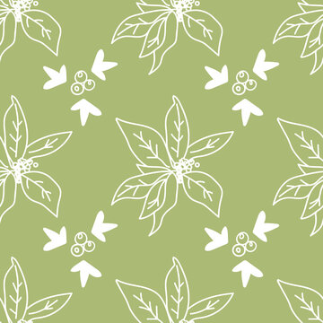Seamless vector pattern with Christmas botanicals in white line on sage green background.Winter,floral,holiday print in doodle style hand drawn.Designs for textile,wrapping paper,fabric,scrapbooking.