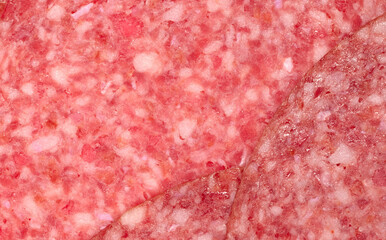 Smoked sausage salami , closeup