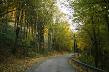 Naklejka premium Exploring roads less ridden, little adventures around hometown