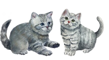two kittens on white,watercolor,gray kittens 