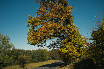 Fototapeta premium Exploring roads less ridden, little adventures around hometown
