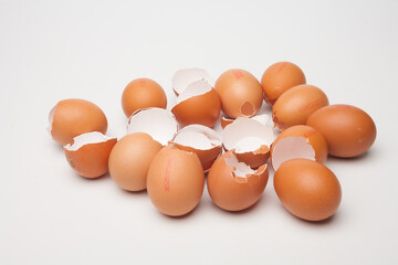 eggshells, broken pink eggs.
