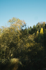 Fototapeta premium Exploring roads less ridden, little adventures around hometown