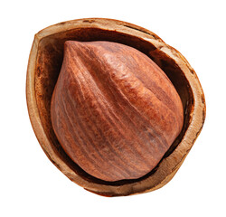 Hazelnut isolated on white background. Hazelnut in broken shell. Top view. With clipping path. Full depth of field.