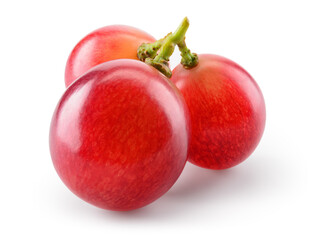 Grape. Three pink grapes isolated on white. Fresh violet grape. With clipping path. Full depth of...