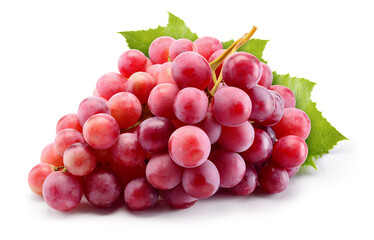 Fototapeta premium Bunch of pink grapes isolated on white. Fresh violet grape. With clipping path. Full depth of field.