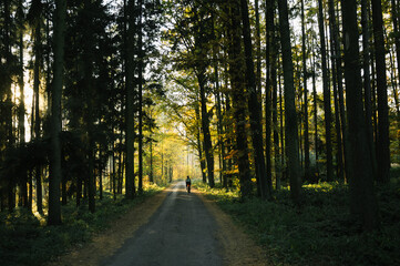 Exploring roads less ridden, little adventures around hometown