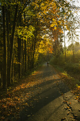 Fototapeta premium Exploring roads less ridden, little adventures around hometown
