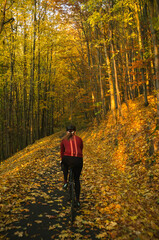 Fototapeta premium Exploring roads less ridden, little adventures around hometown