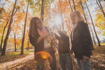 Mother and grandmother and daughter holds jack russell terrier and plays with it in autumn outside. Pet and family concept