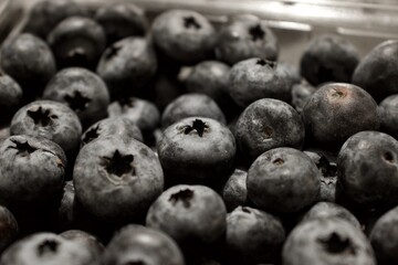 blueberries on white background