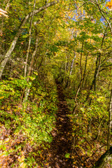 Entspannter Herbstspaziergang entlang der Saale Horizontale in Jena - Thüringen