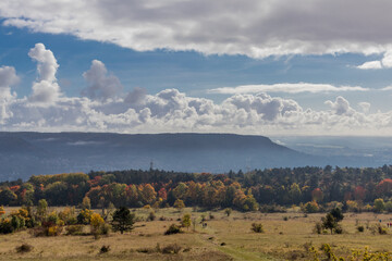 Fototapeta premium Entspannter Herbstspaziergang entlang der Saale Horizontale in Jena - Thüringen