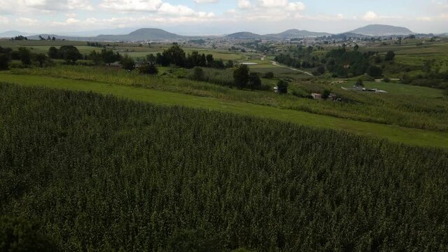 Toma a&eacute;rea hecha con drone de un paisaje verde, Valle y monta&ntilde;as con hect&aacute;reas verdes en campo y racho del Estado de M&eacute;xico EdoMex en un pueblo lejano a la ciudad