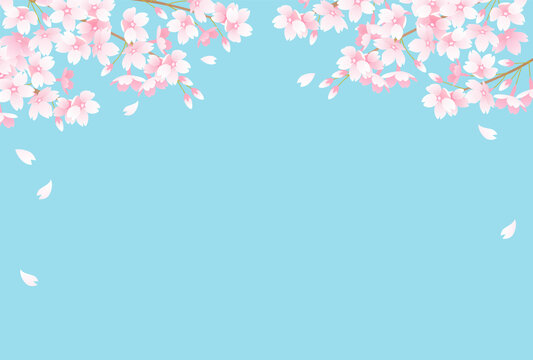 青空と桜と花びらのベクターイラスト背景