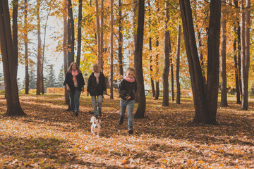 Fototapeta premium Little girl running with her dog jack russell terrier among autumn leaves. Mother and grandmother walks behind