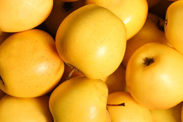 the yellow apples are in the box