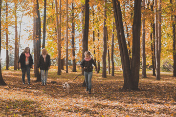 Little girl running with her dog jack russell terrier among autumn leaves. Mother and grandmother walks behind