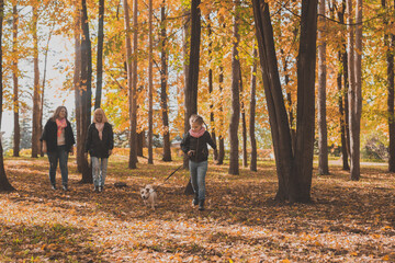 Fototapeta premium Little girl running with her dog jack russell terrier among autumn leaves. Mother and grandmother walks behind
