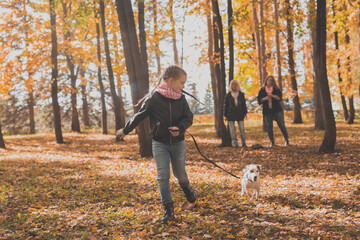 Fototapeta premium Little girl running with her dog jack russell terrier among autumn leaves. Mother and grandmother walks behind