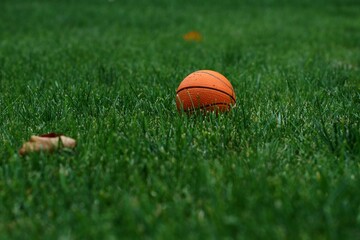 Orange ball on green grass